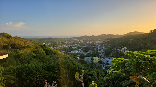 Photo from customer review