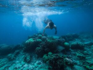 Your Ultimate Guide to Snorkeling on the Samaná Peninsula: Hidden Reefs, Sunken Wrecks & Tropical Islands
