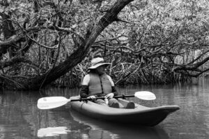 Beyond Whale Season: Year-Round Eco-Adventures on the Samaná Peninsula