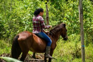 One Day, Three Wonders: The Ultimate Las Terrenas Day Trip to El Limón, Los Haitises & Cayo Levantado