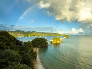 Set Sail on the Samaná Peninsula: Your Complete Guide to Catamaran Day Trips from Las Terrenas