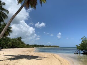 Six Unmissable Beaches of the Samaná Peninsula: Your Sun-Seeker’s Guide for 2026