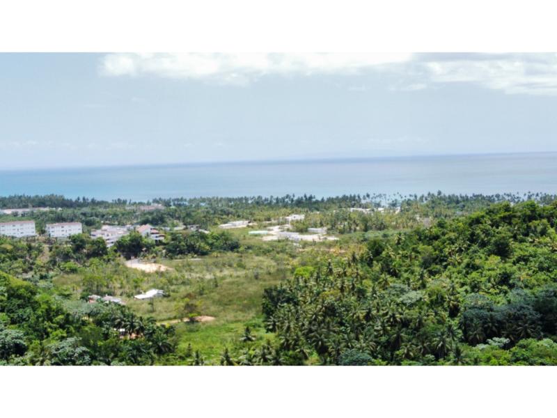 Las Terrenas, Palmar de Nido, ,Land,For Sale,1105