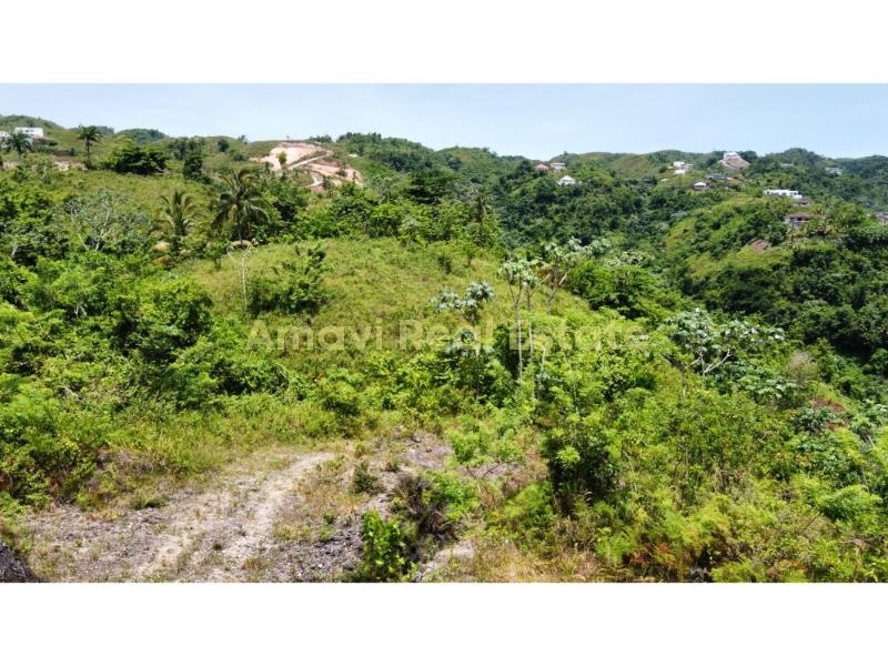 Las Terrenas, Palmar de Nido, ,Land,For Sale,1105