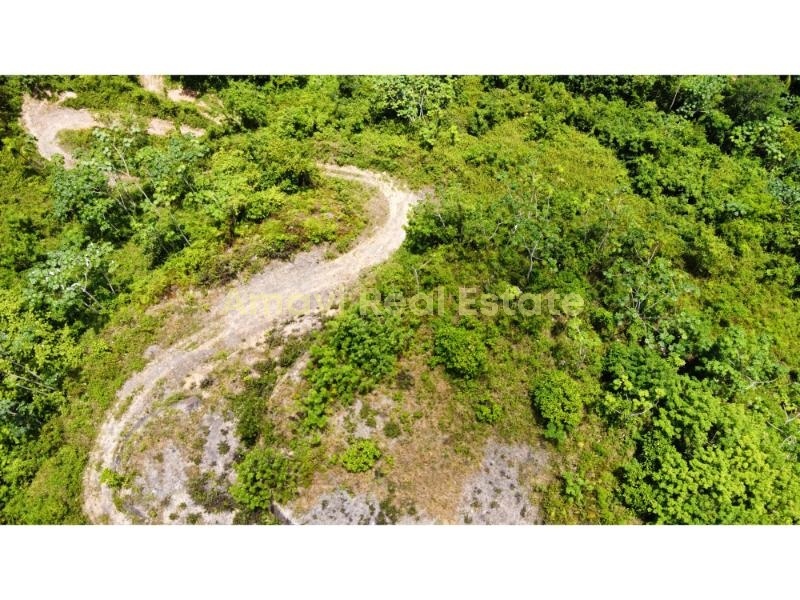 Las Terrenas, Palmar de Nido, ,Land,For Sale,1105