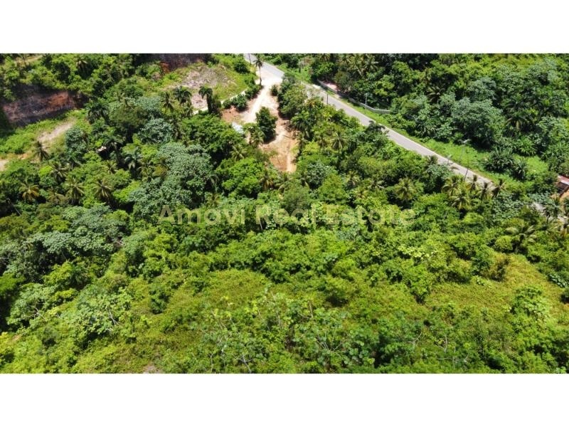 Las Terrenas, Palmar de Nido, ,Land,For Sale,1105