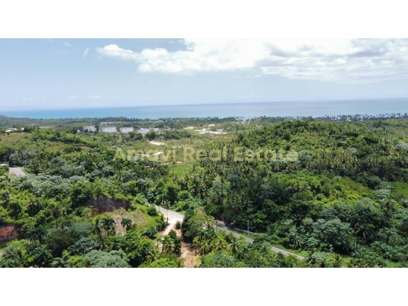 Las Terrenas, Palmar de Nido, ,Land,For Sale,1105
