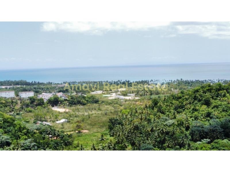 Las Terrenas, Palmar de Nido, ,Land,For Sale,1105