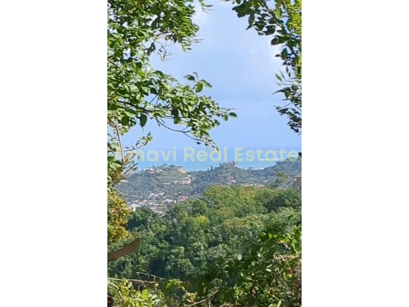 Hoyo Cacao, ,Land,For Sale,1106