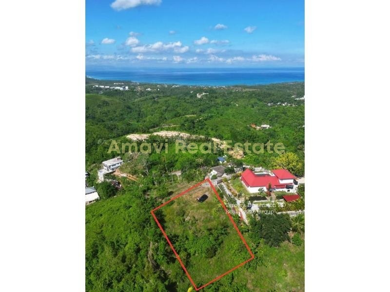 Hoyo Cacao, ,Land,For Sale,1106