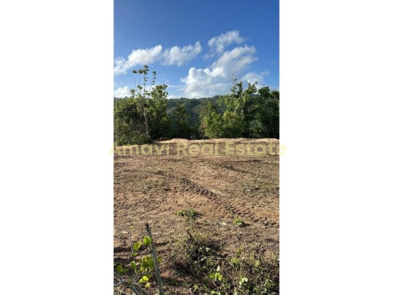 Hoyo Cacao, ,Land,For Sale,1106