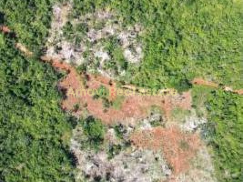 Las Galeras, ,Land,For Sale,1110