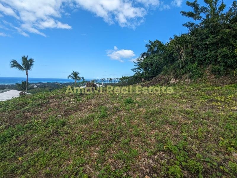 Las Terrenas, Palmar de Nido, ,Land,For Sale,1111