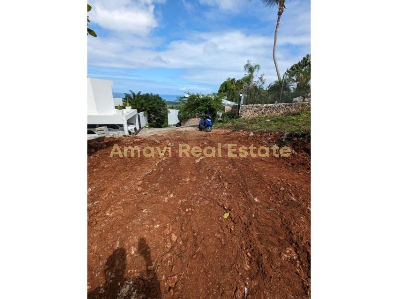 Las Terrenas, Palmar de Nido, ,Land,For Sale,1111
