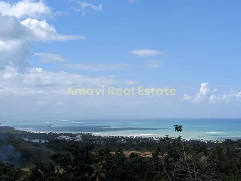 Las Terrenas, Palmar de Nido, ,Land,For Sale,1111