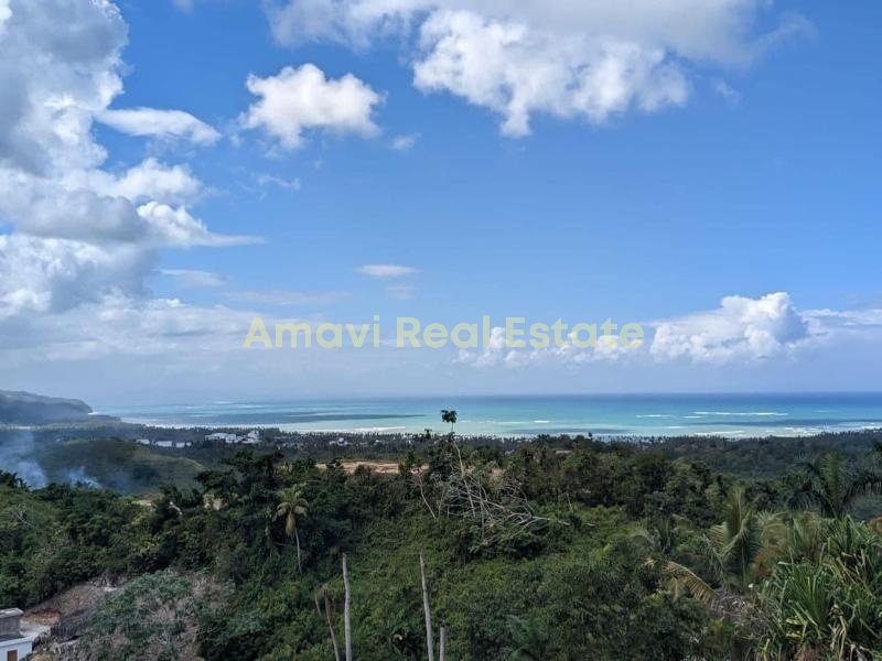 Las Terrenas, Palmar de Nido, ,Land,For Sale,1111