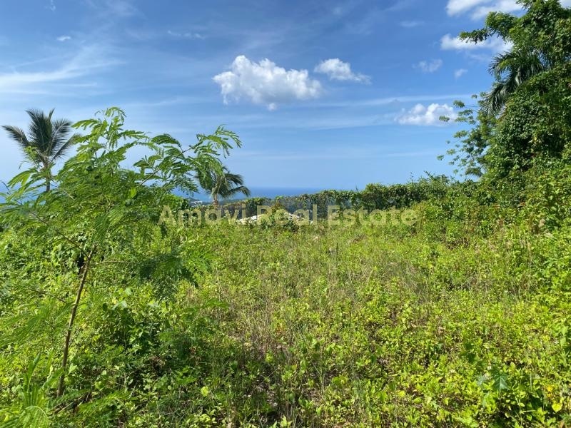 Las Terrenas, Palmar de Nido, ,Land,For Sale,1111