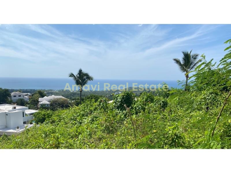 Las Terrenas, Palmar de Nido, ,Land,For Sale,1111
