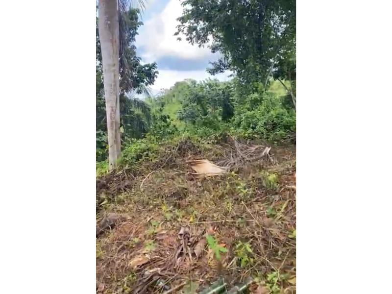 Hoyo Cacao, ,Land,For Sale,1112