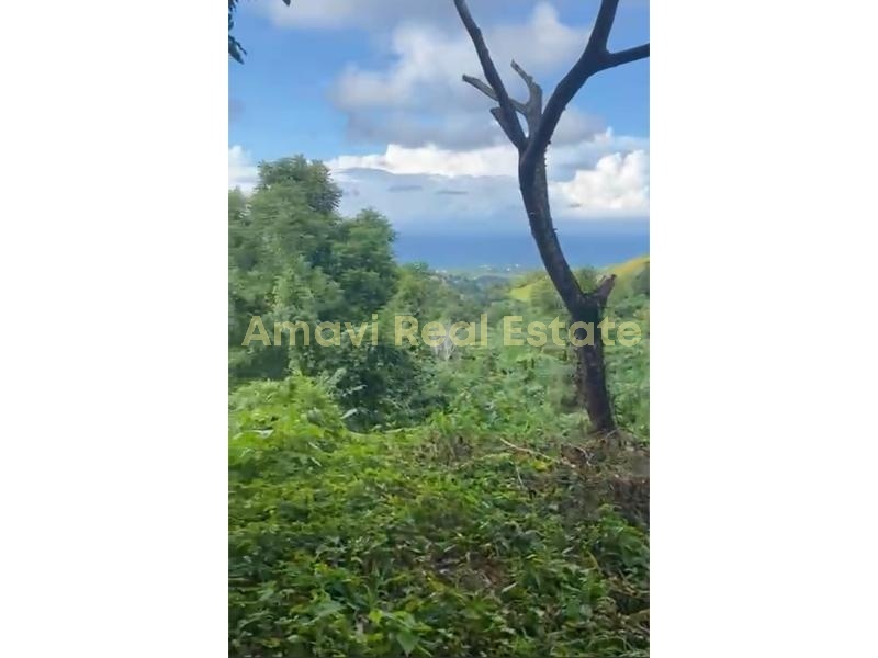 Hoyo Cacao, ,Land,For Sale,1112