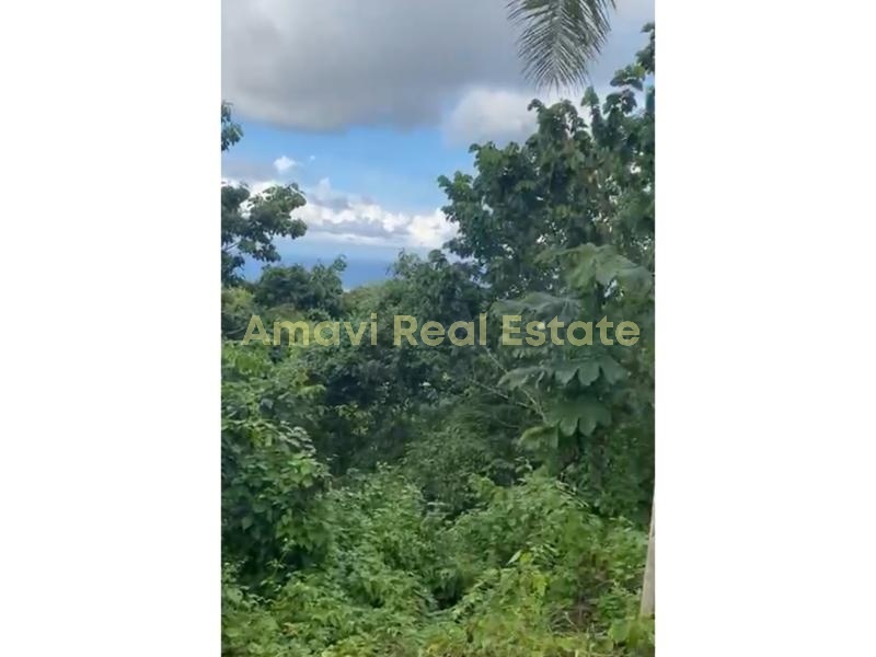 Hoyo Cacao, ,Land,For Sale,1112