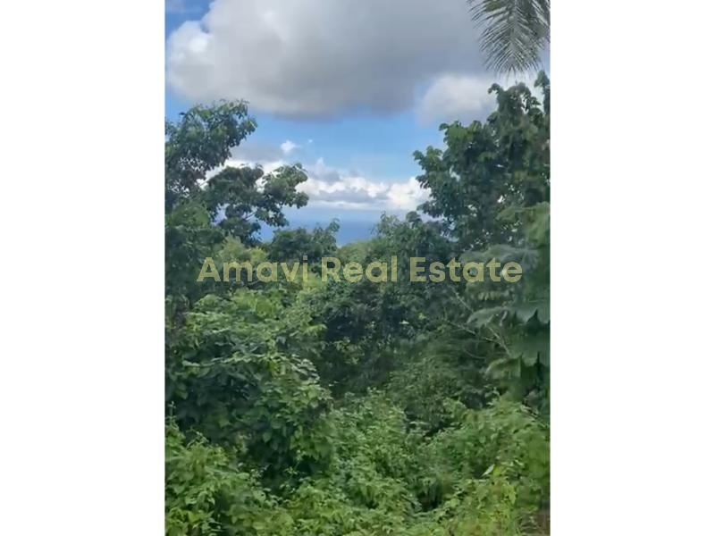 Hoyo Cacao, ,Land,For Sale,1112