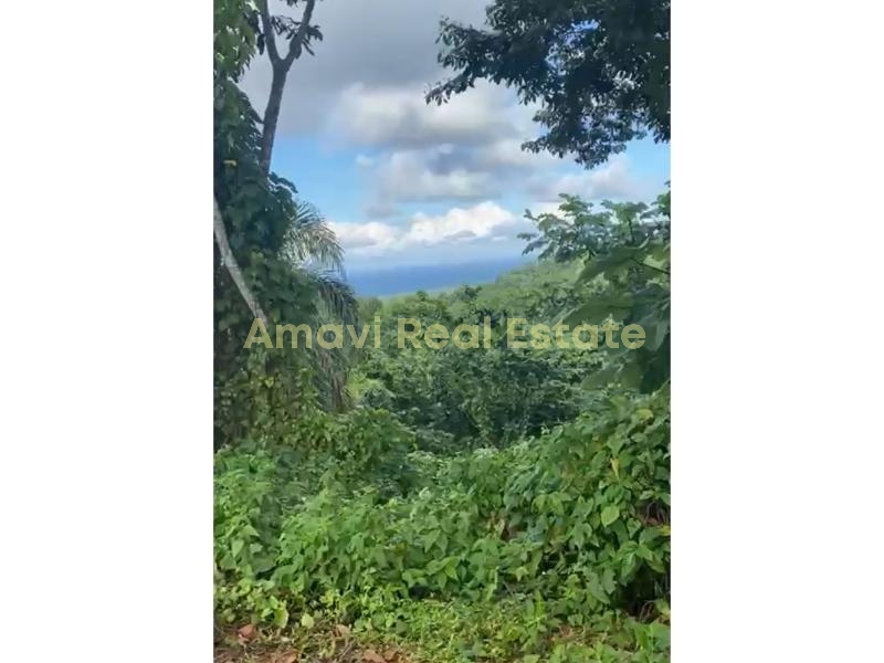 Hoyo Cacao, ,Land,For Sale,1112