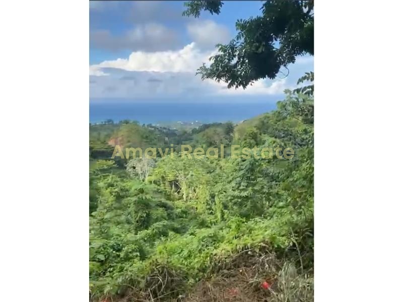 Hoyo Cacao, ,Land,For Sale,1112