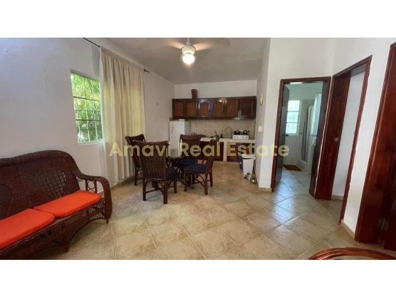 Las Terrenas, 6 Bedrooms Bedrooms, ,3 BathroomsBathrooms,House,For Sale,1124