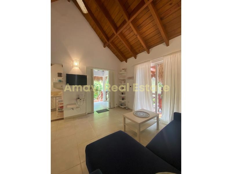 Las Terrenas, 1 Bedroom Bedrooms, ,1 BathroomBathrooms,Villa,For Sale,1139