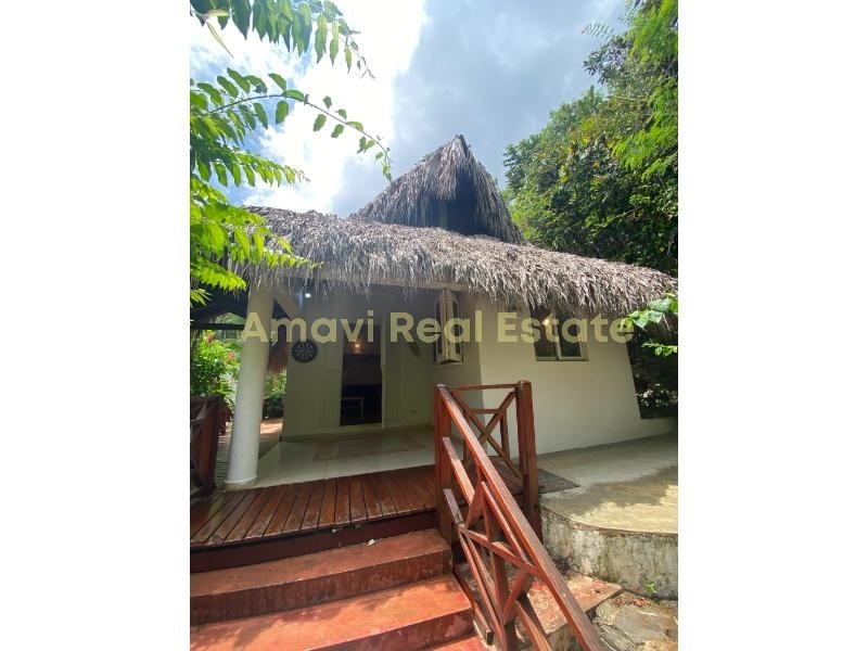 Las Terrenas, 1 Bedroom Bedrooms, ,1 BathroomBathrooms,Villa,For Sale,1139