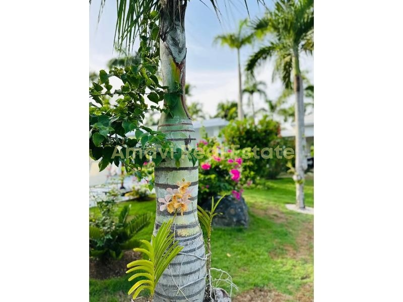 Las Terrenas, La Ceiba, 4 Bedrooms Bedrooms, ,4 BathroomsBathrooms,Villa,For Sale,1164