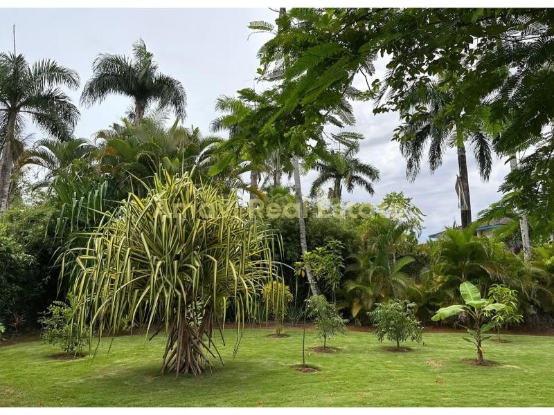 Las Terrenas, La Ceiba, 4 Bedrooms Bedrooms, ,4 BathroomsBathrooms,Villa,For Sale,1164