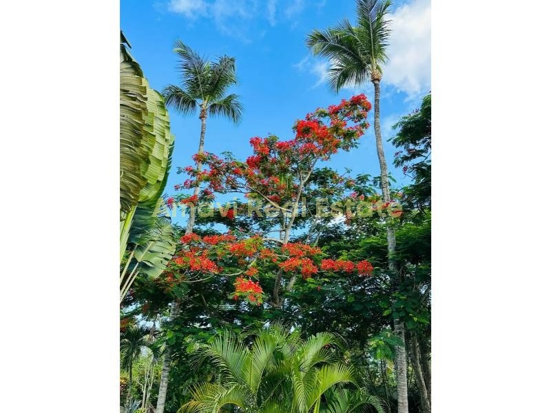 Las Terrenas, La Ceiba, 4 Bedrooms Bedrooms, ,4 BathroomsBathrooms,Villa,For Sale,1164