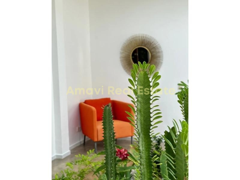 Las Terrenas, La Ceiba, 4 Bedrooms Bedrooms, ,4 BathroomsBathrooms,Villa,For Sale,1164