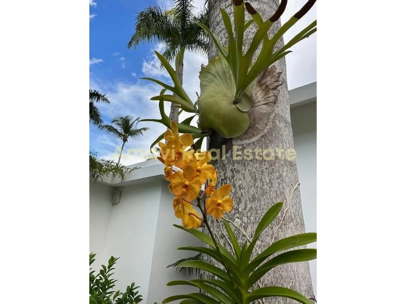 Las Terrenas, La Ceiba, 4 Bedrooms Bedrooms, ,4 BathroomsBathrooms,Villa,For Sale,1164