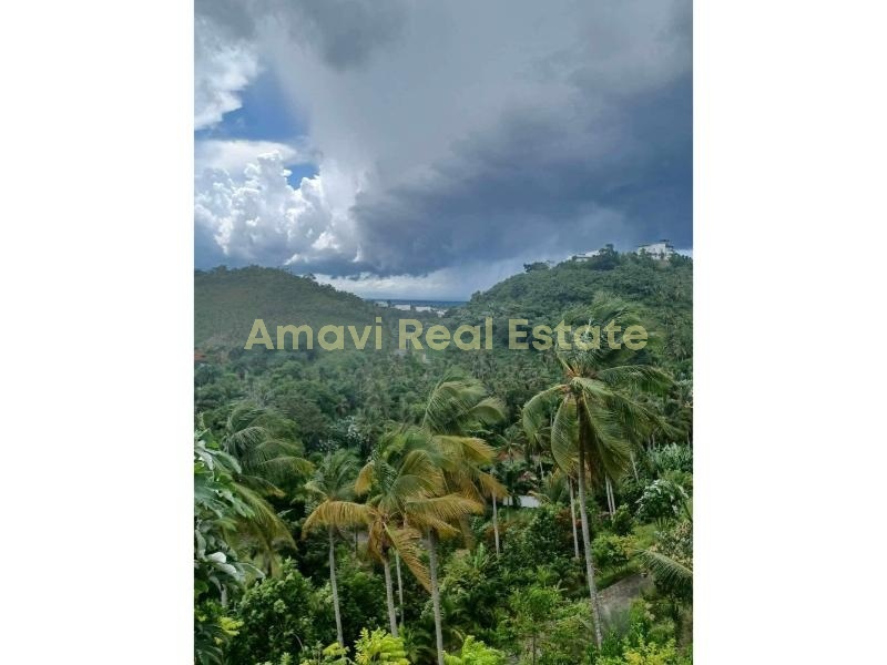 Coson, 2 Bedrooms Bedrooms, ,2 BathroomsBathrooms,House,For Sale,1169