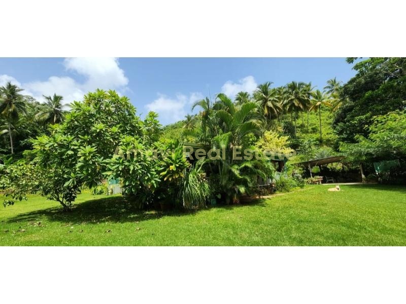 Coson, 3 Bedrooms Bedrooms, ,3 BathroomsBathrooms,Villa,For Sale,1174