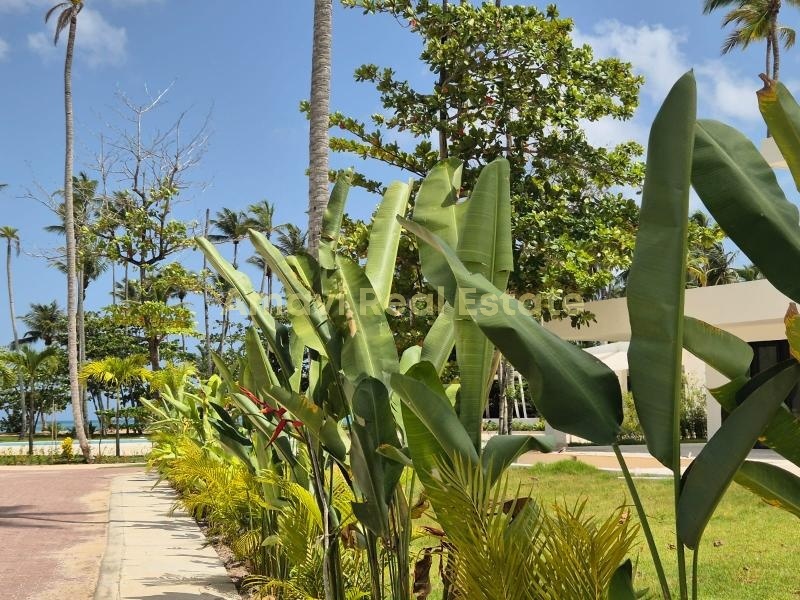 Coson, 2 Bedrooms Bedrooms, ,2 BathroomsBathrooms,Villa,For Sale,1178