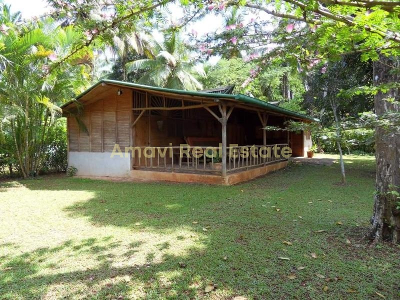 Coson, 1 Bedroom Bedrooms, ,1 BathroomBathrooms,House,For Sale,1192