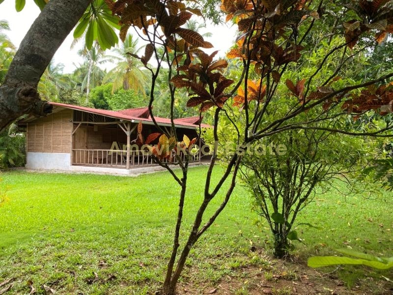 Coson, 1 Bedroom Bedrooms, ,1 BathroomBathrooms,House,For Sale,1192