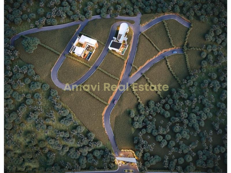 Coson, ,Pre Construction Villa,For Sale,1198