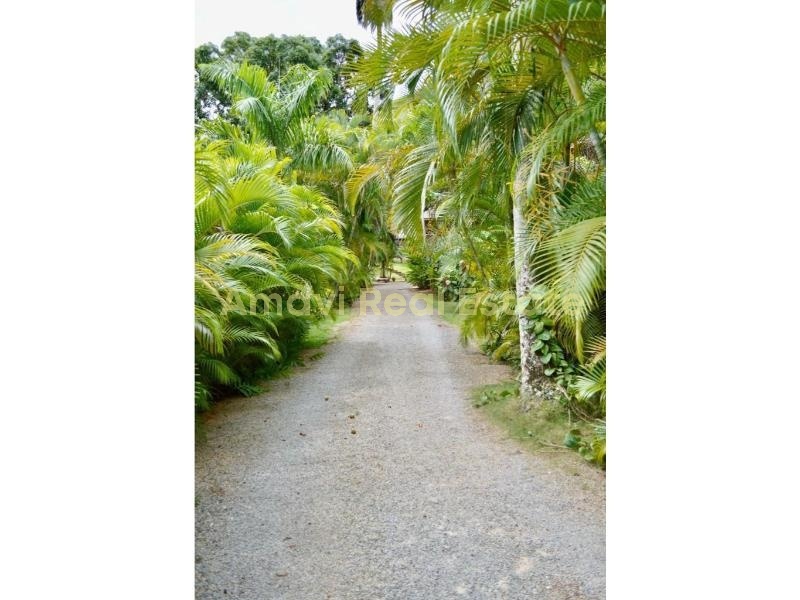 Coson, 5 Bedrooms Bedrooms, ,5 BathroomsBathrooms,Villa,For Sale,1200