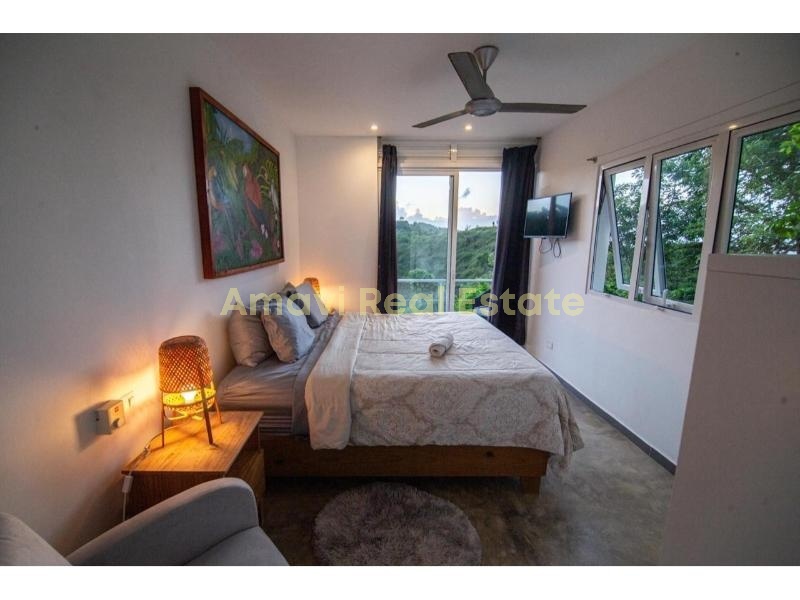 Hoyo Cacao, 3 Bedrooms Bedrooms, ,3 BathroomsBathrooms,Villa,For Sale,1201