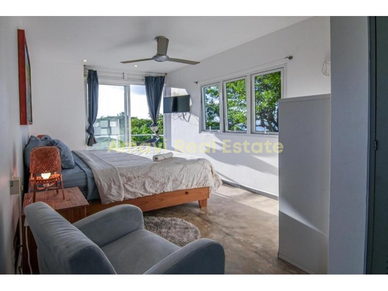 Hoyo Cacao, 3 Bedrooms Bedrooms, ,3 BathroomsBathrooms,Villa,For Sale,1201