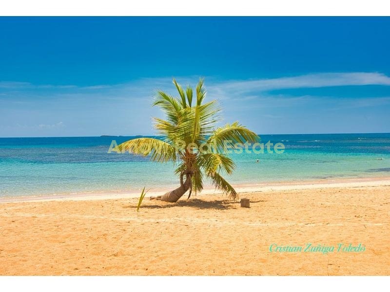 Playa Las Ballenas, 7 Bedrooms Bedrooms, 0 ,0,Hotel,For Sale,0,1259