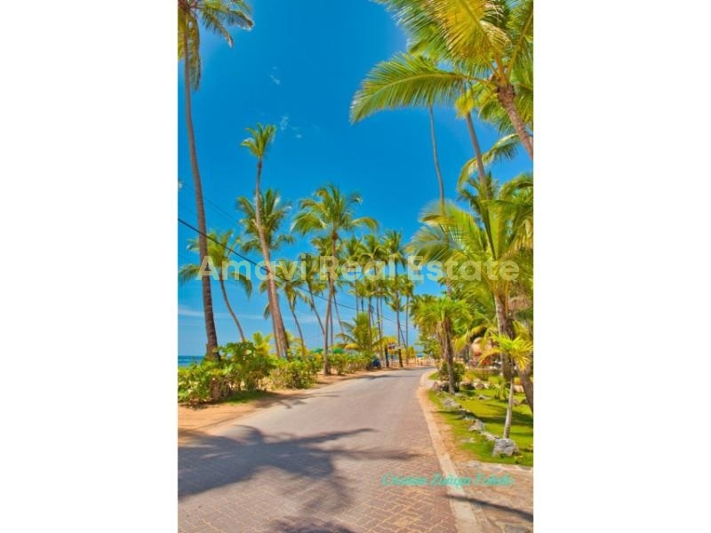 Playa Las Ballenas, 7 Bedrooms Bedrooms, 0 ,0,Hotel,For Sale,0,1259