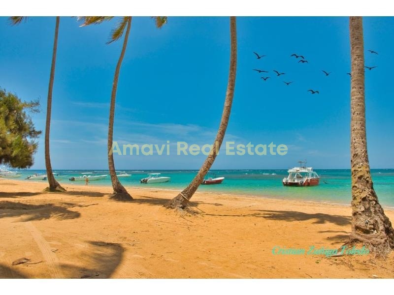 Playa Las Ballenas, 7 Bedrooms Bedrooms, 0 ,0,Hotel,For Sale,0,1259