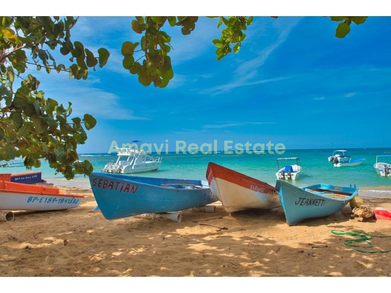 Playa Las Ballenas, 7 Bedrooms Bedrooms, 0 ,0,Hotel,For Sale,0,1259