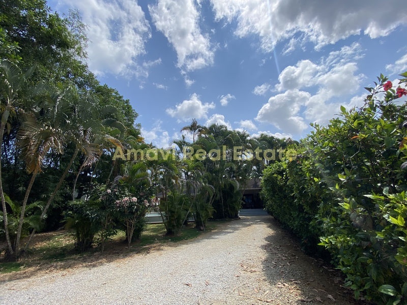 Las Terrenas, La Ceiba, 3 Bedrooms Bedrooms, ,3 BathroomsBathrooms,Villa,For Sale,1028